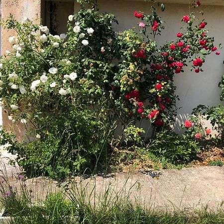 Le Jardin Suspendu Διαμέρισμα Rillieux-la-Pape Εξωτερικό φωτογραφία