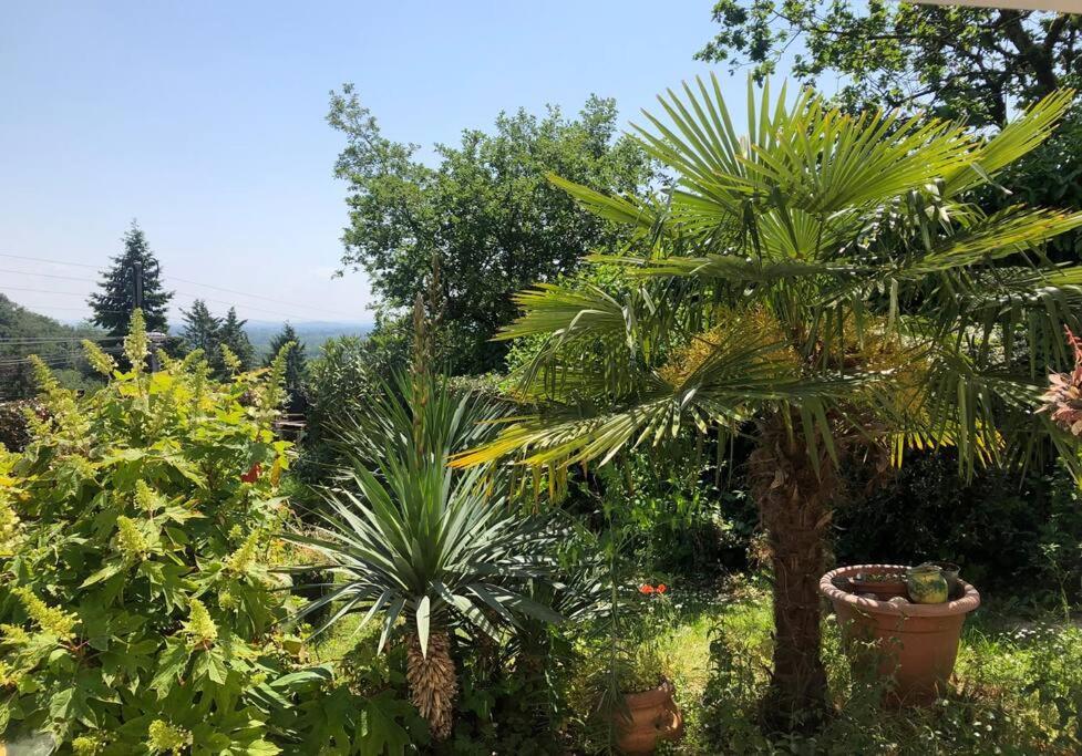 Le Jardin Suspendu Διαμέρισμα Rillieux-la-Pape Εξωτερικό φωτογραφία