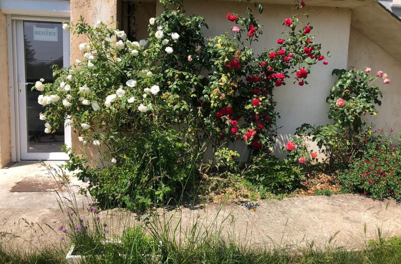 Le Jardin Suspendu Διαμέρισμα Rillieux-la-Pape Εξωτερικό φωτογραφία