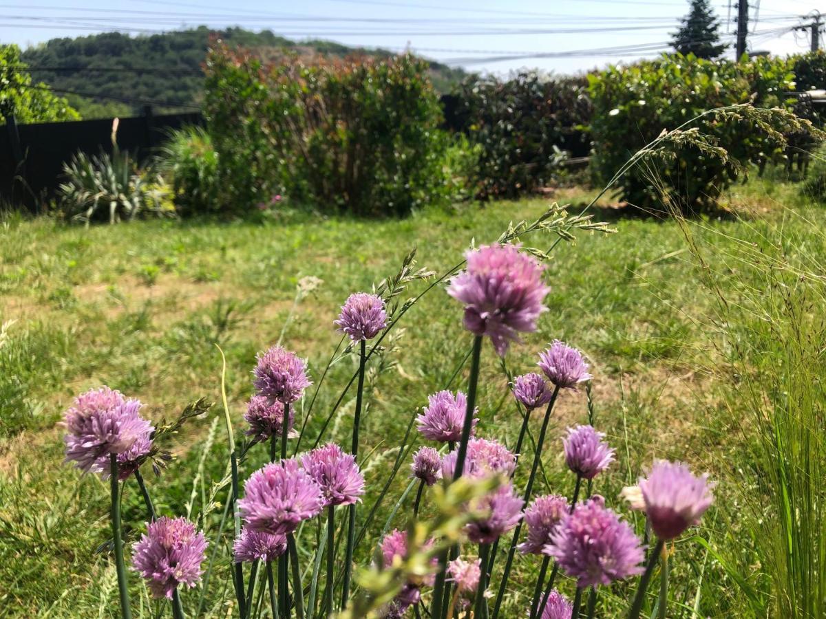 Le Jardin Suspendu Διαμέρισμα Rillieux-la-Pape Εξωτερικό φωτογραφία