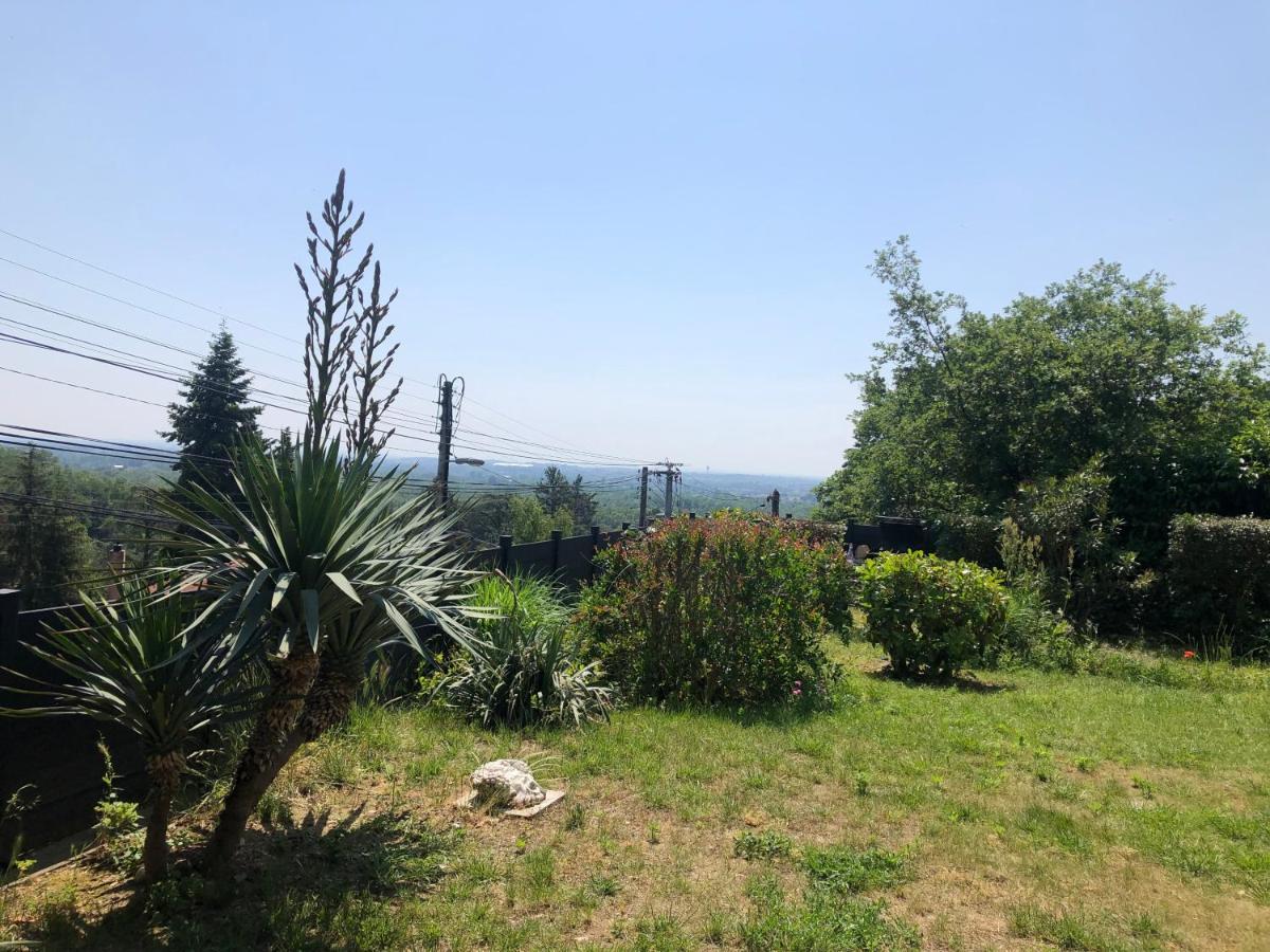 Le Jardin Suspendu Διαμέρισμα Rillieux-la-Pape Εξωτερικό φωτογραφία